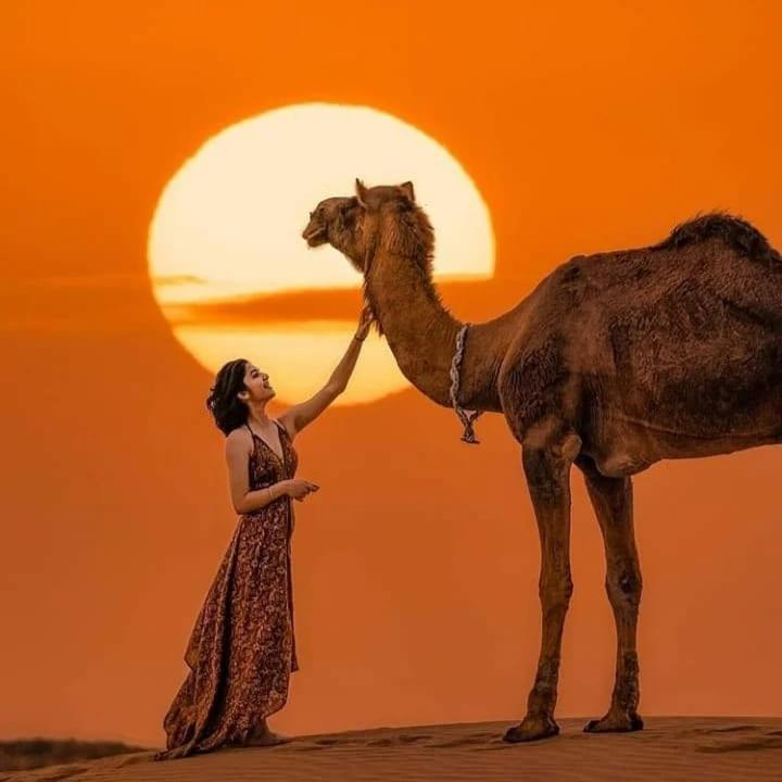 Hotel Neem Haveli Jaisalmer Zewnętrze zdjęcie