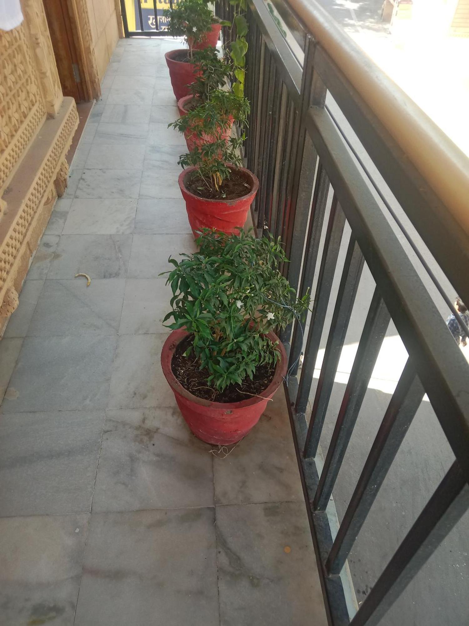 Hotel Neem Haveli Jaisalmer Zewnętrze zdjęcie
